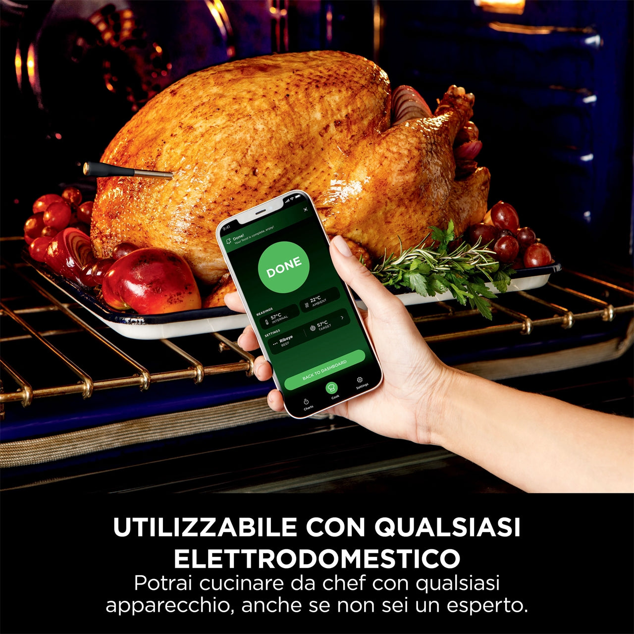 Sonda Digitale Ninja Prochef WP100EU Termometro Wireless