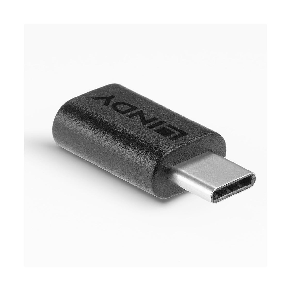 Lindy 41893 adattatore per inversione del genere dei cavi USB 3.2 Type C Nero