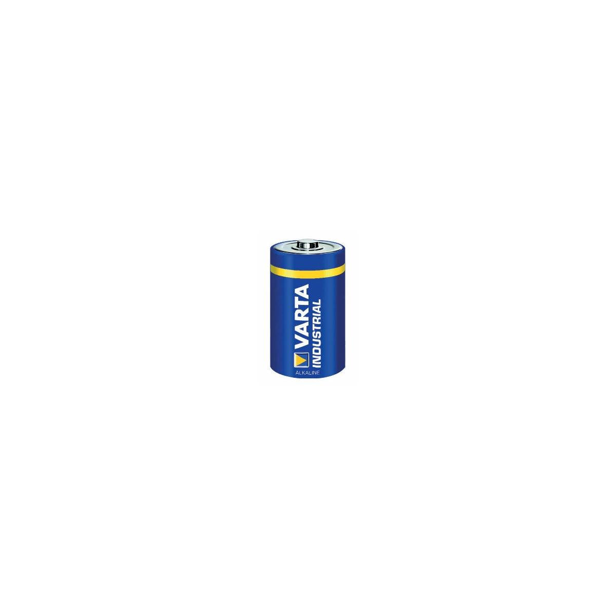 Varta 04020211111 Batteria monouso D Alcalino cf 20
