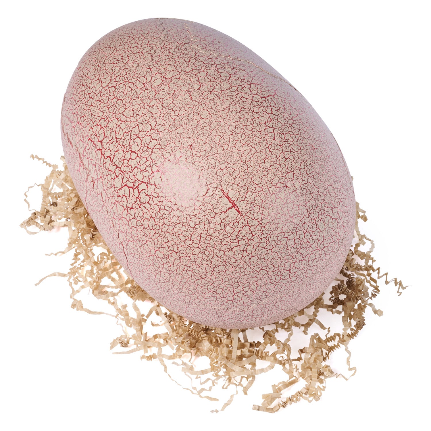 Jurassic World Primal Hatch, dinosauro giocattolo interattivo e uovo, fai schiudere e addestra il tuo cucciolo di dinosauro dotato di oltre 100 suoni e reazioni, giocattoli per bambini e bambine dai 5 anni in su