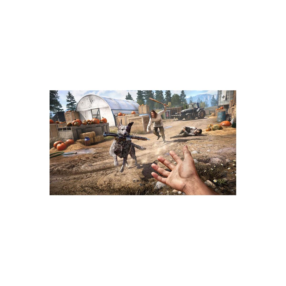 Ubisoft Far Cry 5 PS4 Standard Multilingua PlayStation 4