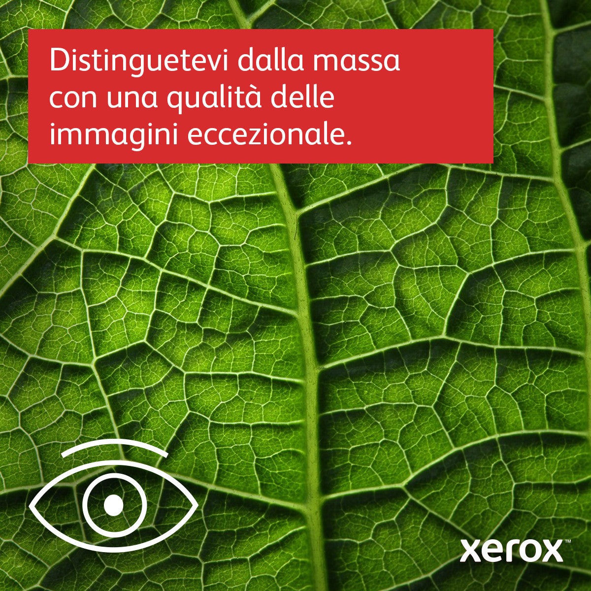 Xerox B410V DN Stampante Stampante Laser a Colori 1200x2400 DPI Bianco