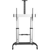 StarTech.com STNDMTV100 Supporto TV a parete 2,54 m (100") Nero, Argento