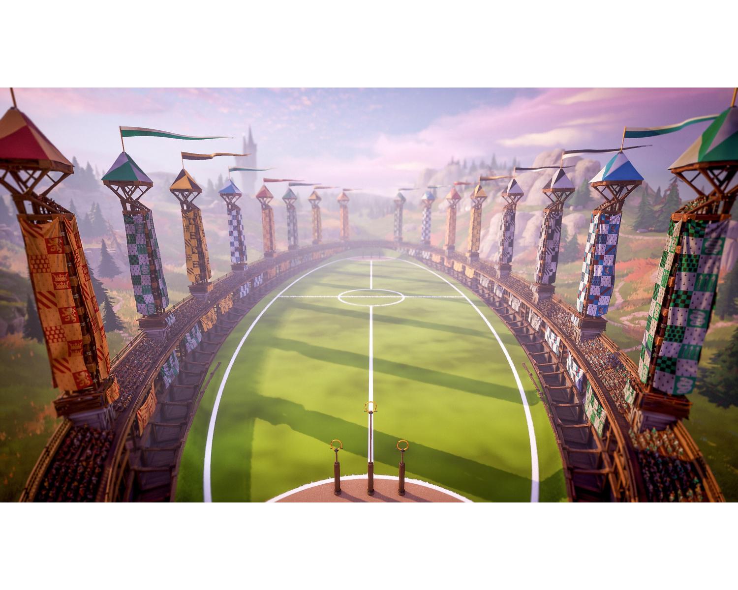 Warner Bros Harry Potter Campioni di Quidditch PS4
