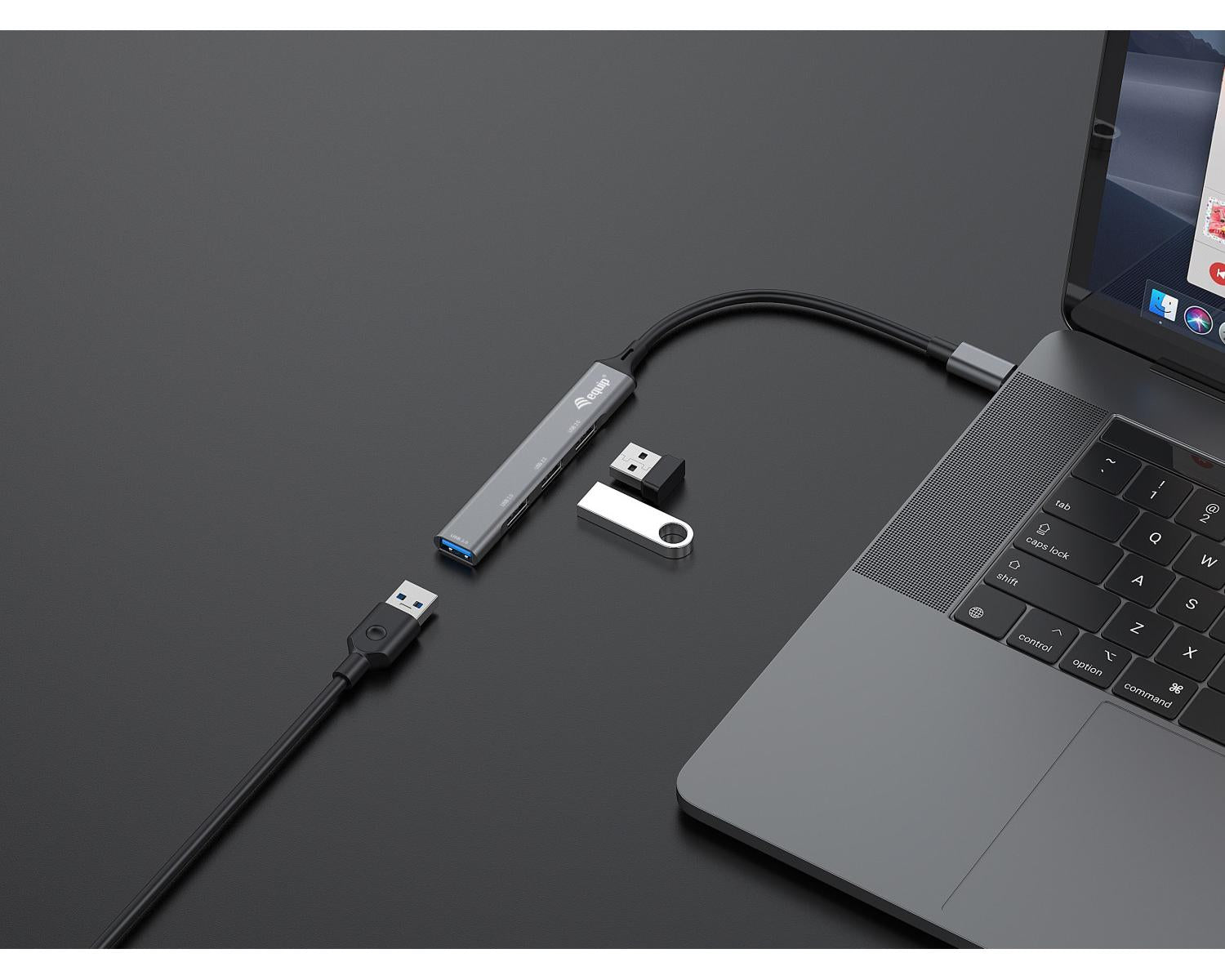 Equip 128961 hub di interfaccia USB 3.2 Gen 1 (3.1 Gen 1) Type-C 5000 Mbit/s Nero, Grigio