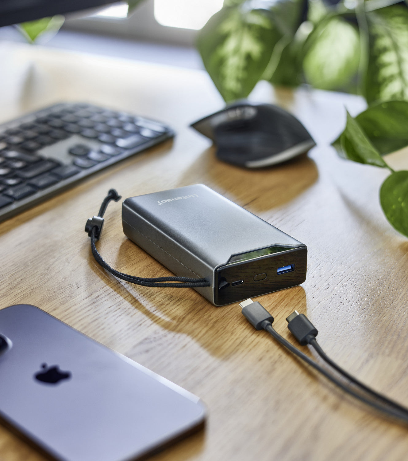Intenso 7332054 batteria portatile Polimeri di litio (LiPo) 20000 mAh Grigio