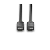 Lindy 36490 cavo DisplayPort 0,5 m Nero