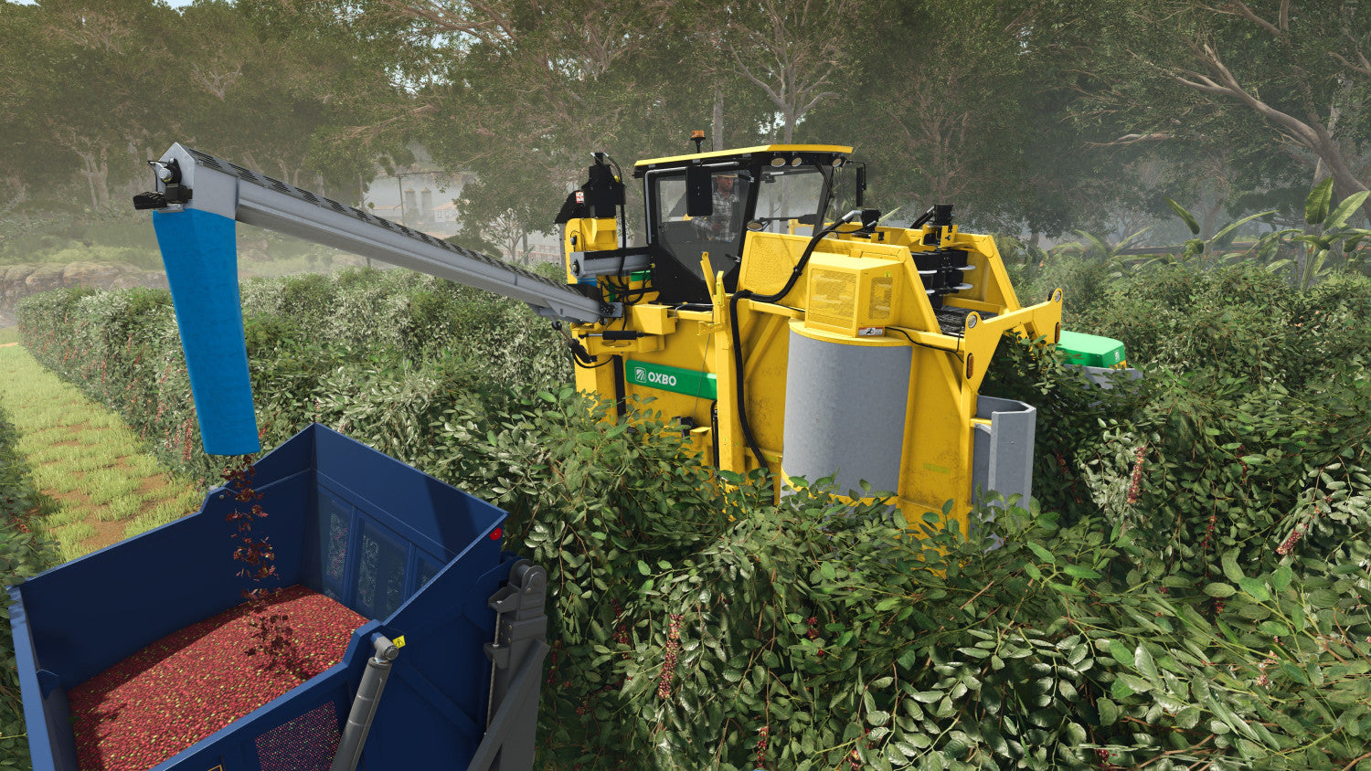 Giants Software Farming Simulator 25: Beans Alpacas Edition Standard Xbox Series X