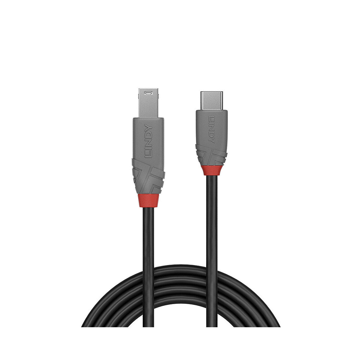 Lindy 36667 cavo USB USB 3.2 Gen 1 (3.1 Gen 1) 2 m USB C USB B Nero