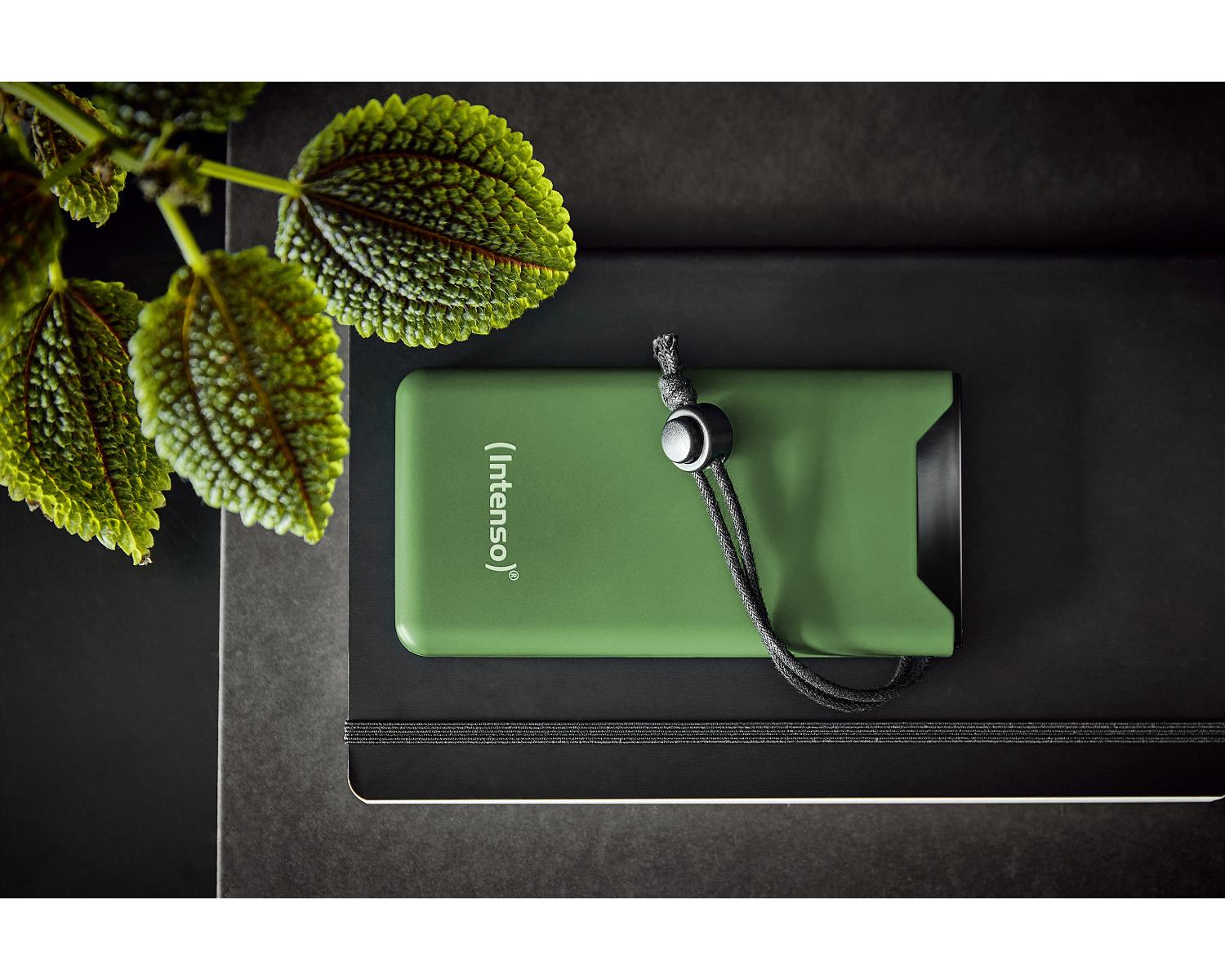 Intenso 7332037 batteria portatile Polimeri di litio (LiPo) 10000 mAh Verde
