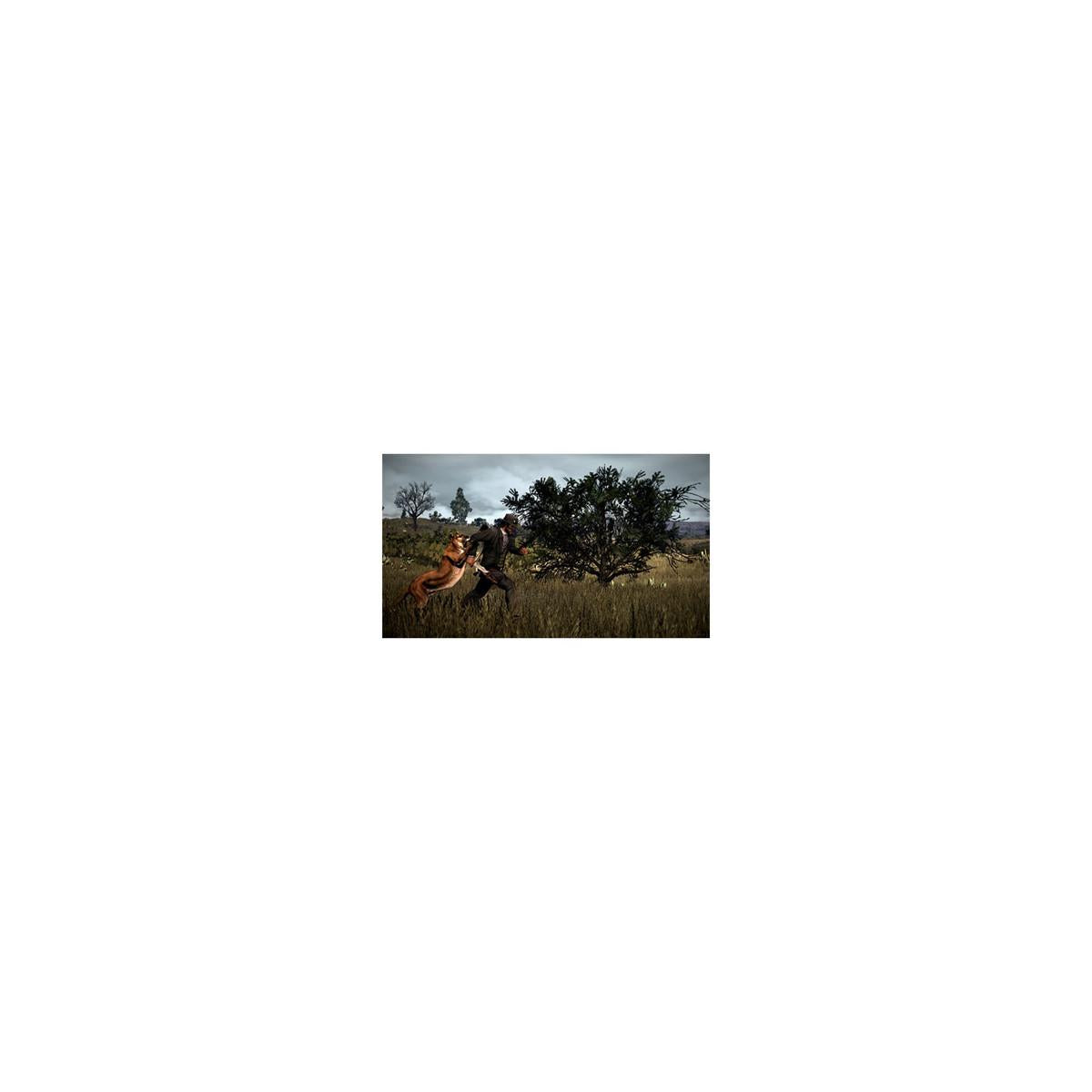 Take-Two Interactive Red Dead Redemption 2, PS4 Standard ITA PlayStation 4