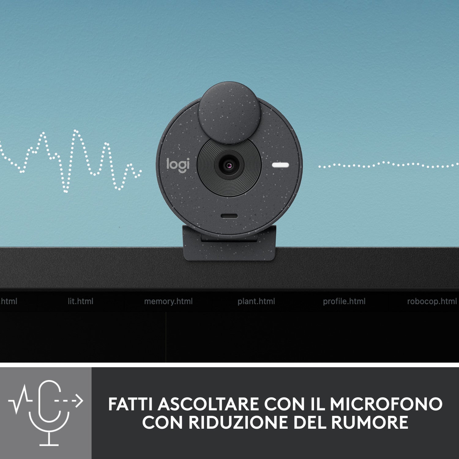 Logitech Brio 300 Webcam 2 MP 1920 x 1080 Pixel USB-C Grafite