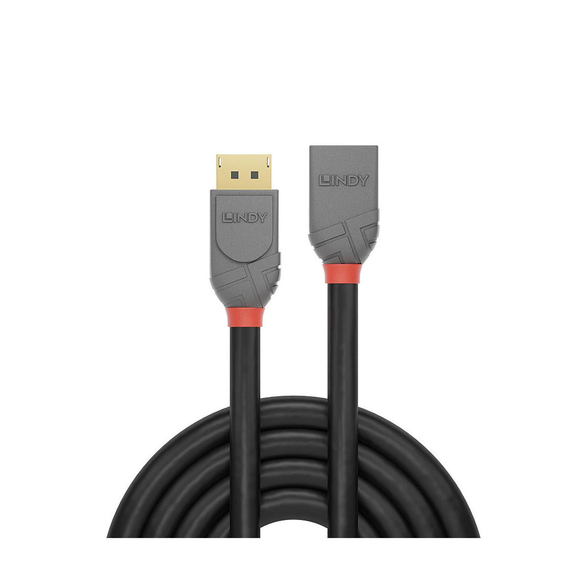 Lindy 36498 cavo DisplayPort 3 m Nero
