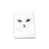 Pigna Monocromo quaderno per scrivere A4 19 fogli Bianco