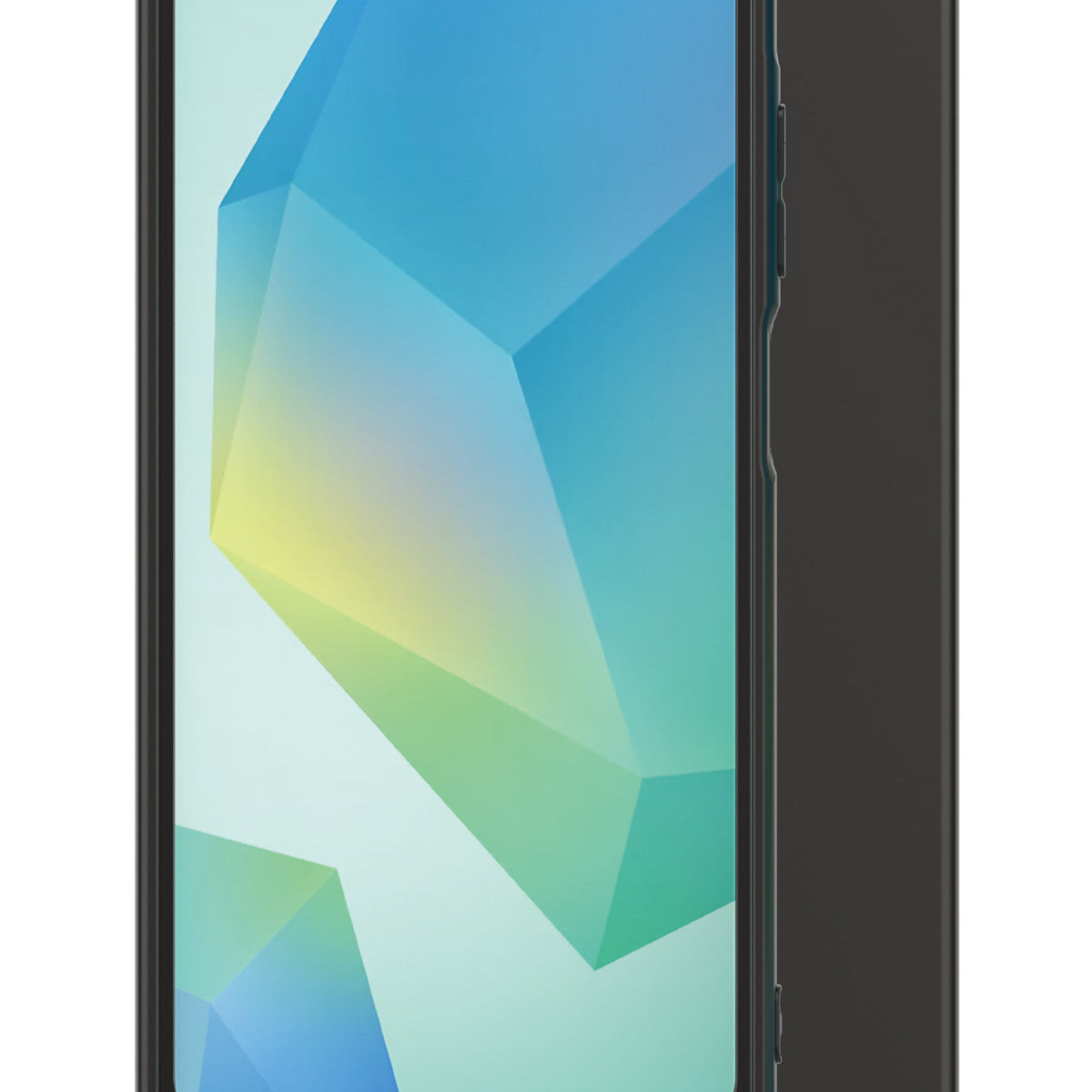 Samsung GP-FPA566AEFBY custodia per cellulare 17 cm (6.7") Cover Nero