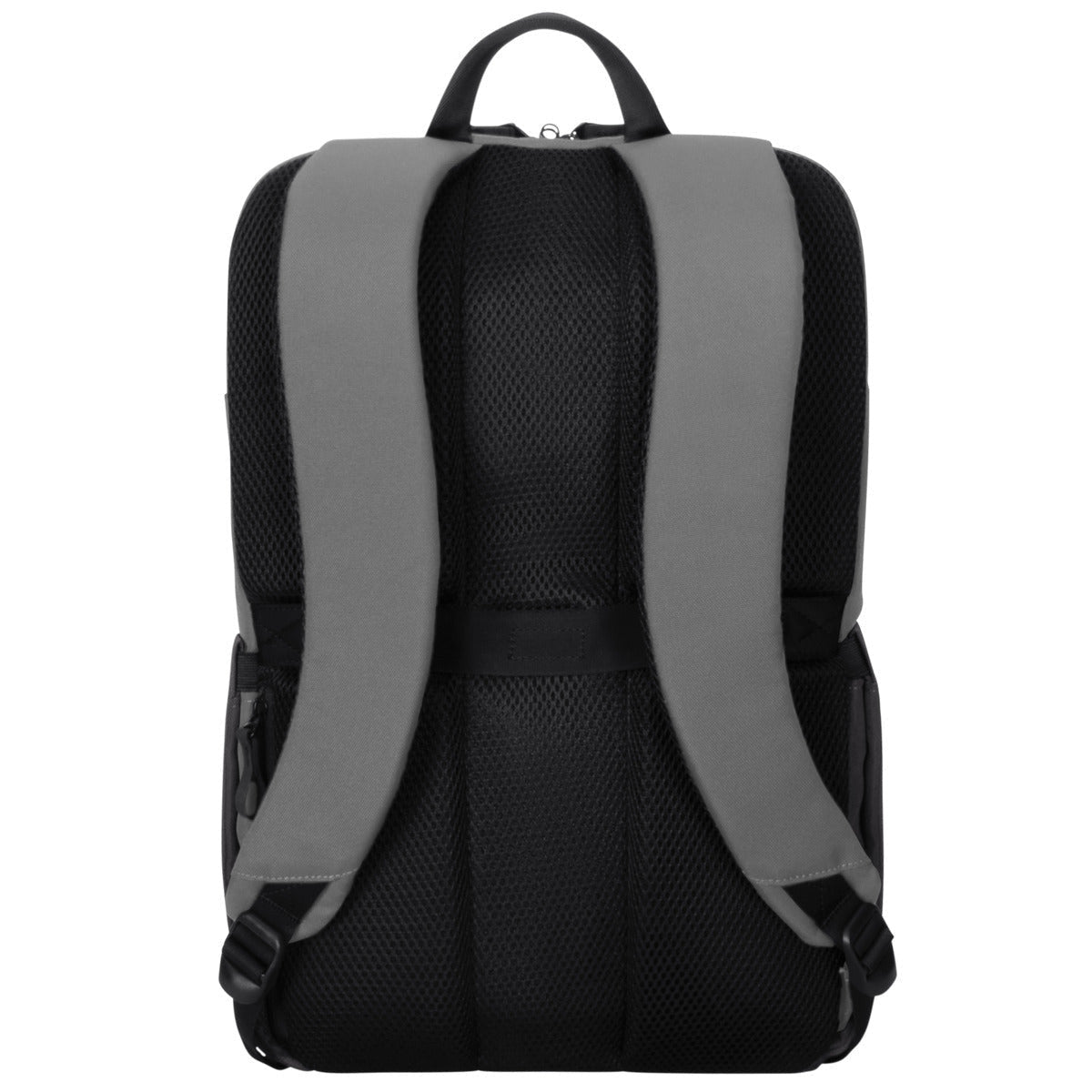 Targus Sagano 39,6 cm (15.6pollici) Zaino Nero, Grigio