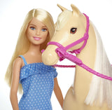Barbie FXH13 bambola con cavallo e accessori