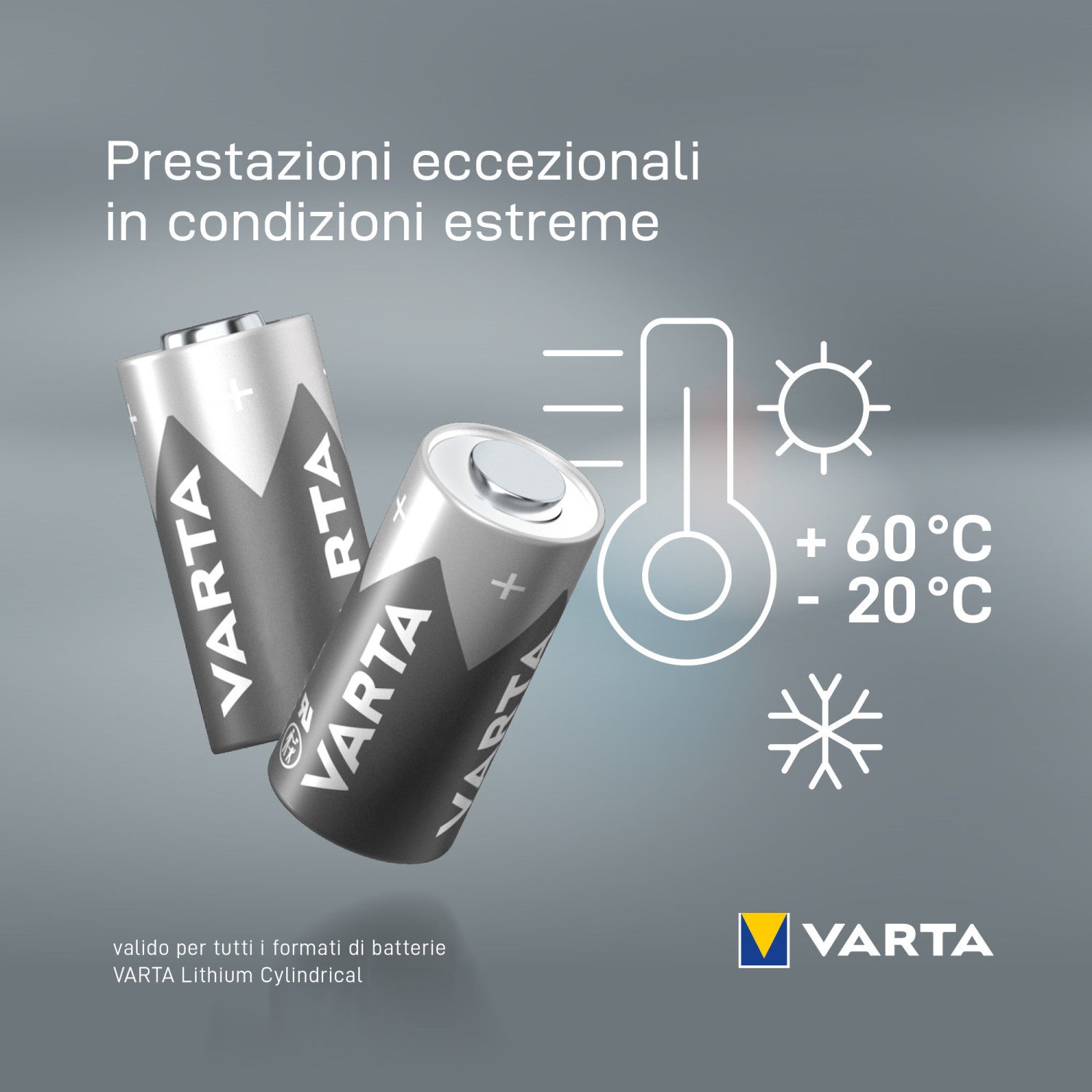 Varta 06206 Batteria monouso Litio