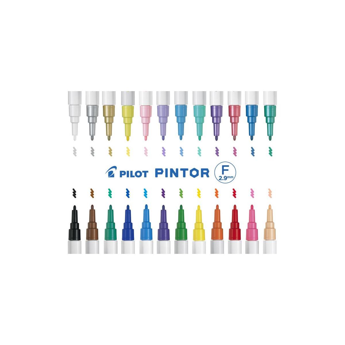 Pilot Pintor