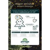 Pre Qu' Italia Tenda Luminosa a LED Cascata 200 Luci Bianco Freddo 1x2 Mt Interno/Esterno IP44 Prolungabile