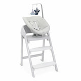 Chicco Crescendo Recliner Dondolo per bambini Grigio