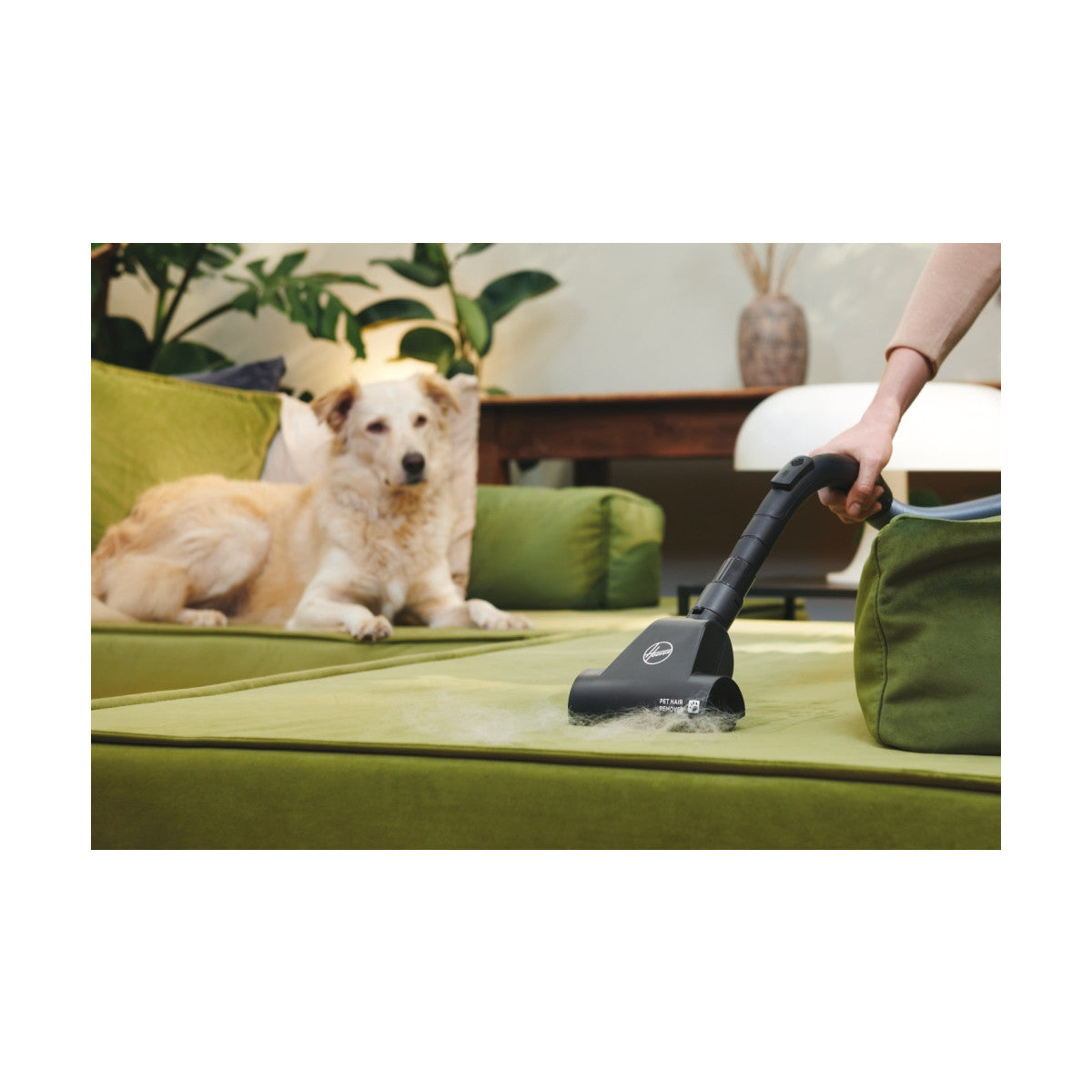 Hoover HE120PET 011 aspirapolvere 2,5 L A cilindro Secco 700 W Sacchetto per la polvere