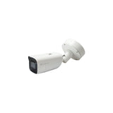 LevelOne FCS-5095 Capocorda Telecamera di sicurezza IP Interno e esterno 3840 x 2160 Pixel Pavimento parete