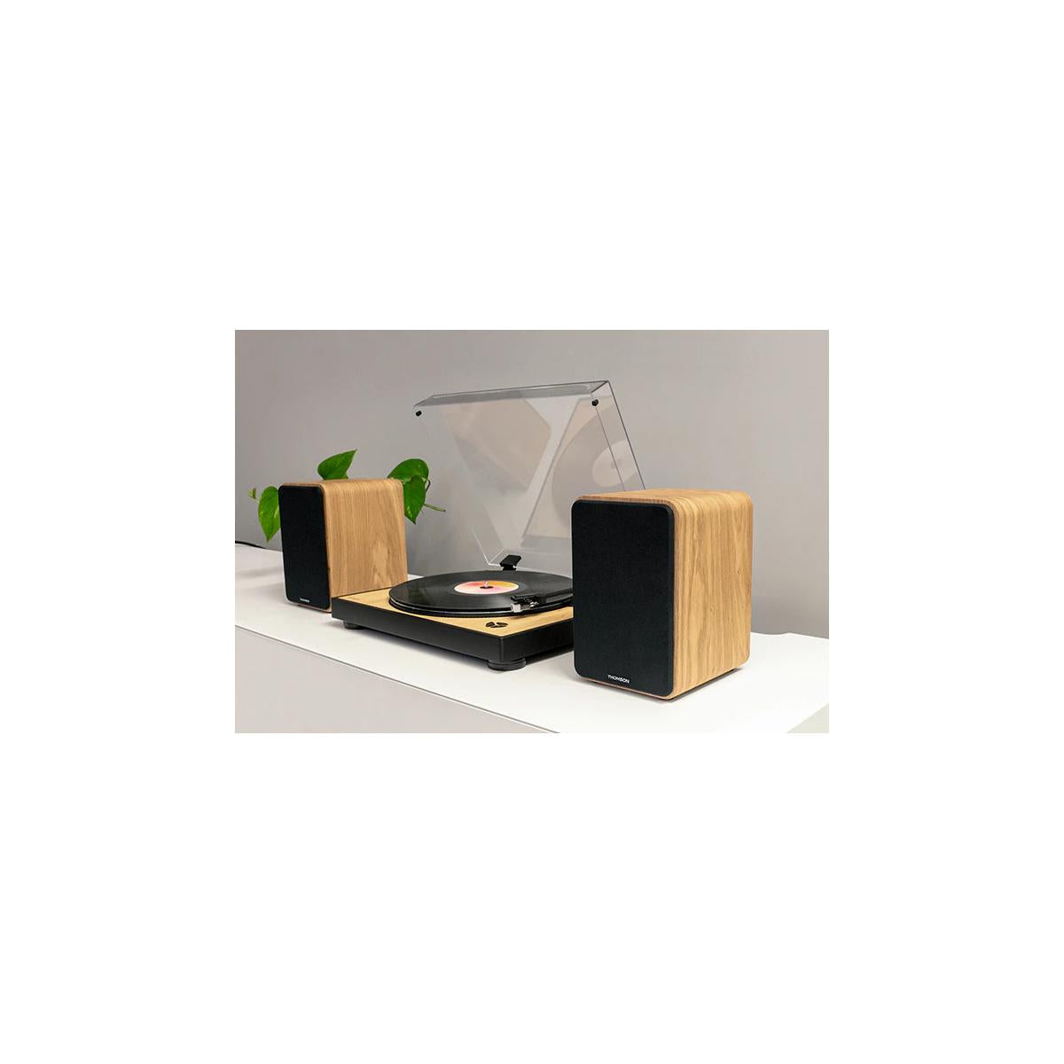 Thomson WS602DUO altoparlante 1-via Legno Cablato 30 W