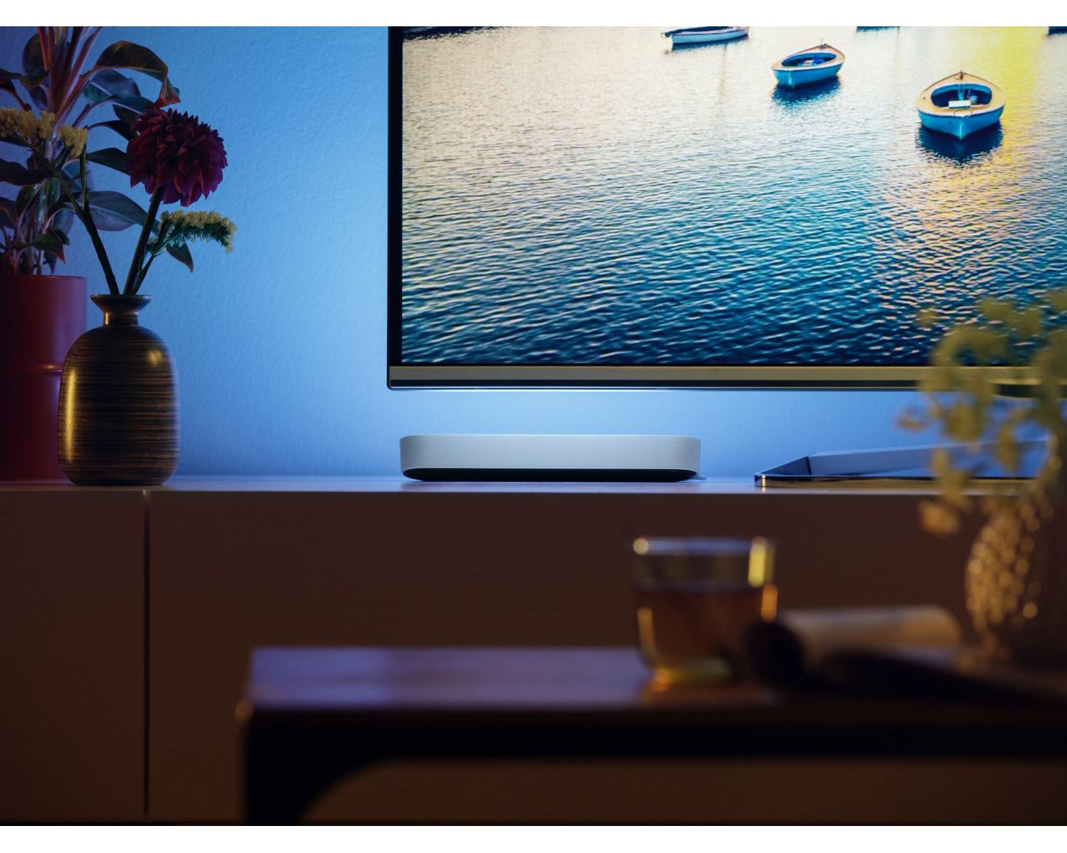 Philips Hue White and Color ambiance 7820231P7 13,2 W
