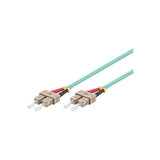 WP WPC-FP3-5SCSC-050 cavo InfiniBand e in fibra ottica 5 m SC Blu