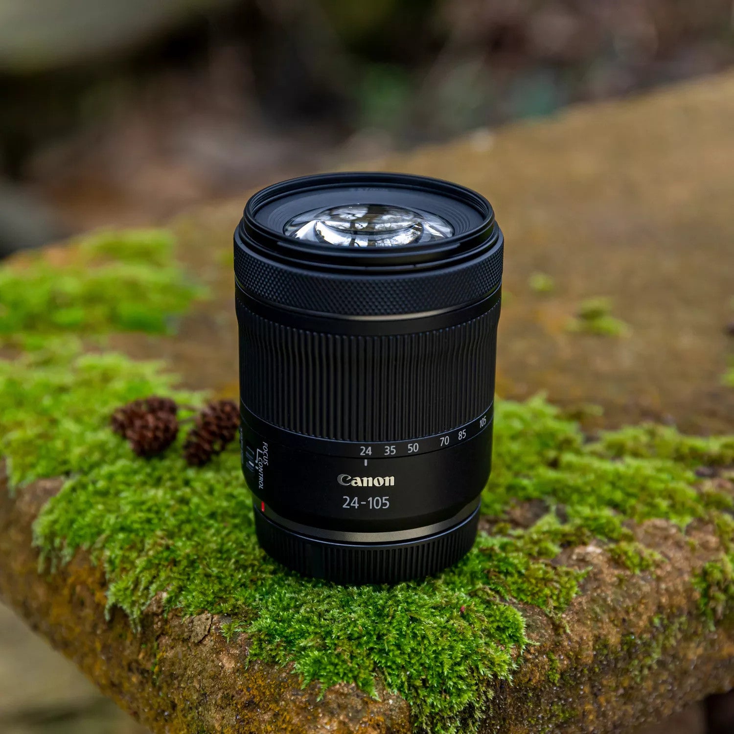 Canon EOS R8 RF 24-105mm F4-7.1 IS STM MILC 24,2 MP CMOS 6000 x 4000 Pixel Nero