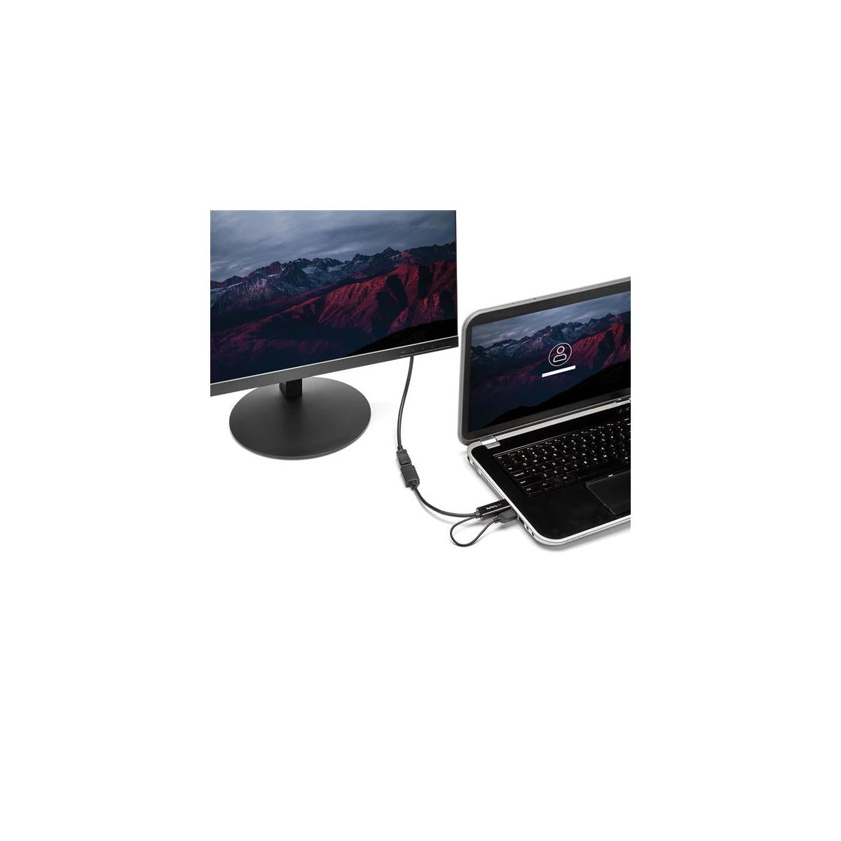 StarTech.com HD2DP cavo e adattatore video Nero