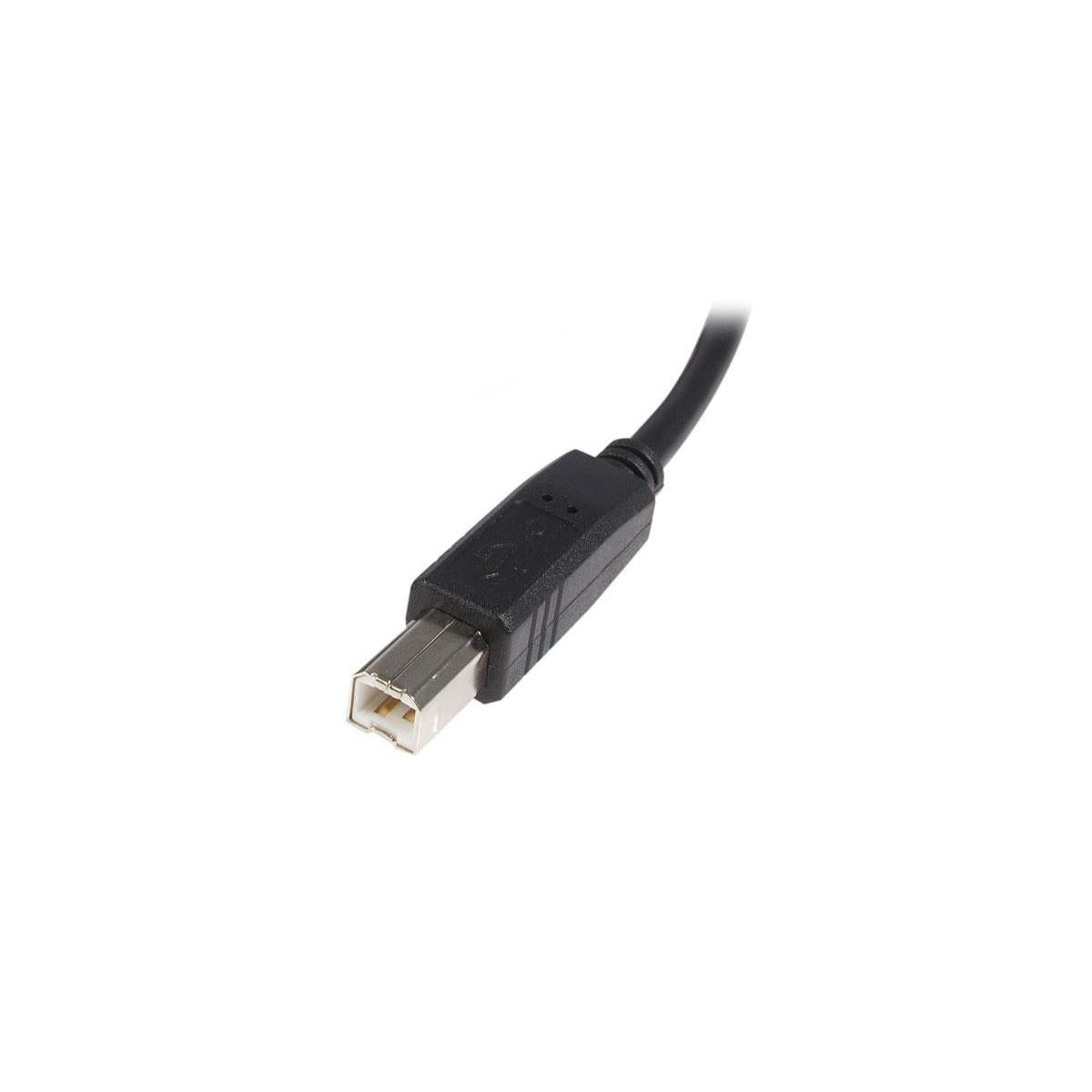 StarTech.com Cavo USB 2.0 per Stampante tipo A/B maschio - maschio - Cavo USB 2.0 A-B 5m - M/M