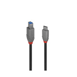 Lindy 36667 cavo USB USB 3.2 Gen 1 (3.1 Gen 1) 2 m USB C USB B Nero
