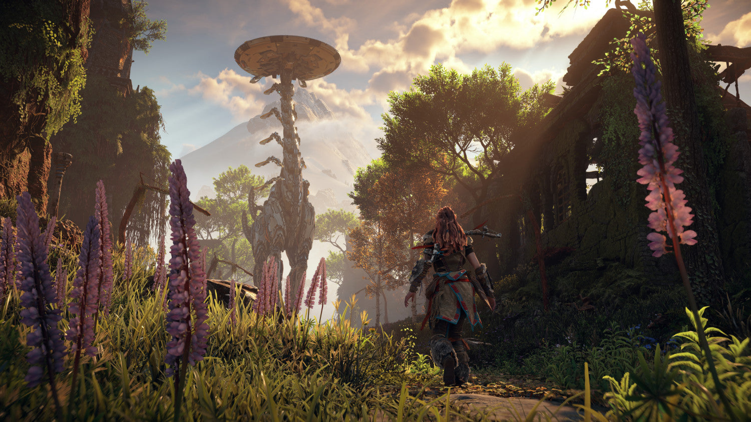 Sony Horizon Zero Dawn Remastered Edition PS5 Rimasterizzata Arabo, BRA, Tedesca, Inglese, ESP, Francese, ITA, Polacco, Portoghese, Russo PlayStation 5