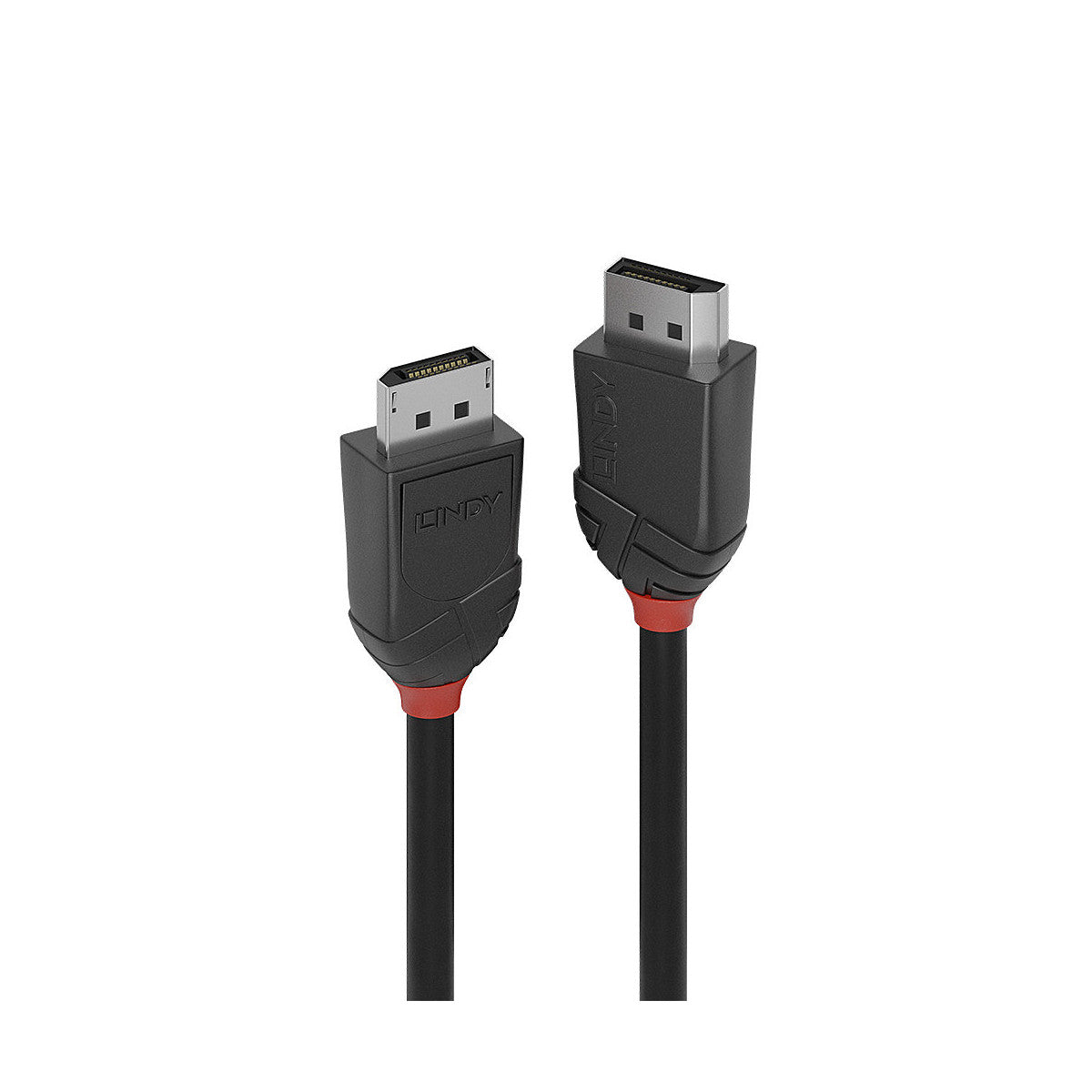 Lindy 36490 cavo DisplayPort 0,5 m Nero