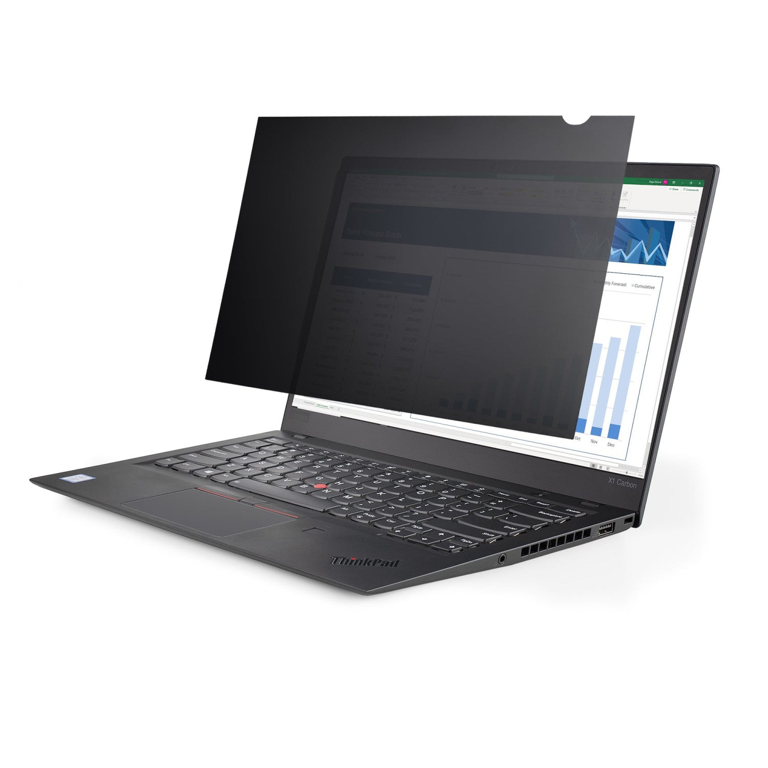 StarTech.com 133L-PRIVACY-SCREEN schermo anti-riflesso Filtro per la privacy senza bordi per display 33,8 cm (13.3")