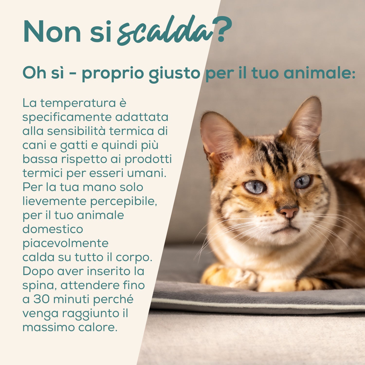 Beurer Tappetino riscaldante Lilli