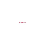 BIC Atlantis Stick Rosso 12 pz
