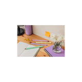 BIC Evolution 2HB 12 pz