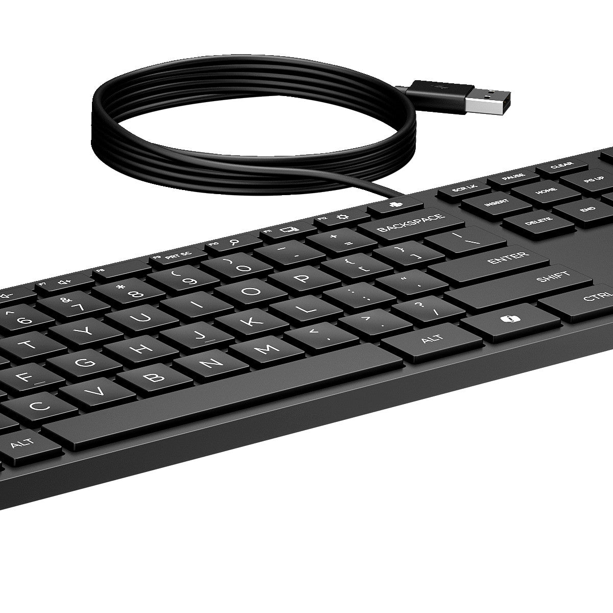 HP Tastiera Wired Desktop 320K