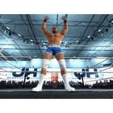 WWE 2K26 - Nintendo Switch 2