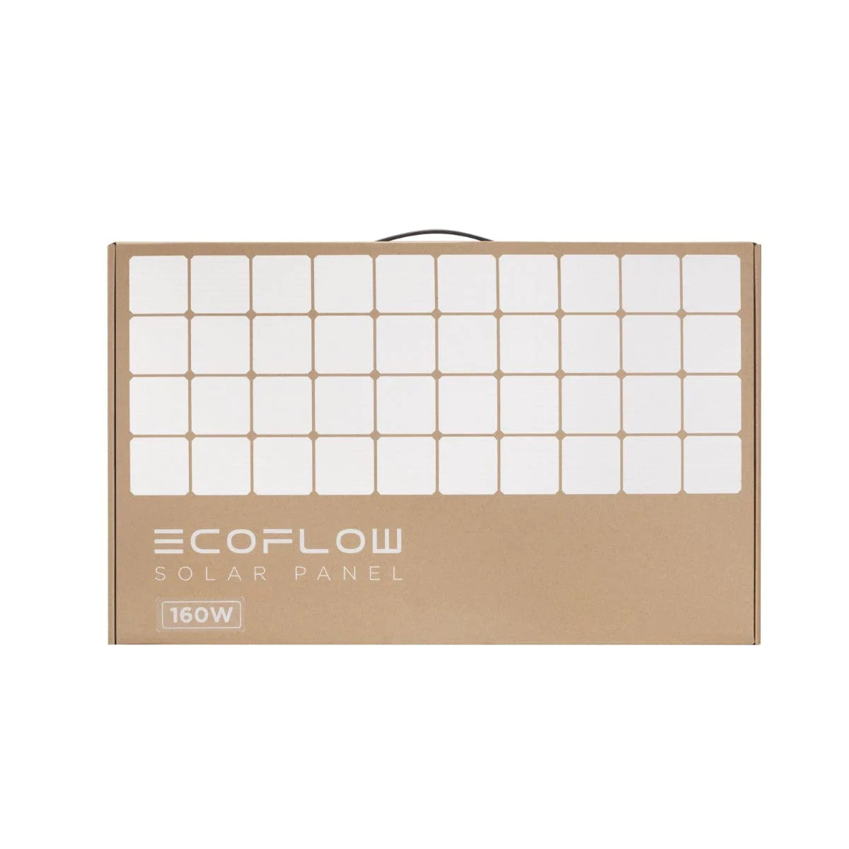 EcoFlow 50033001 Pannello Solare da 160W Pieghevole con Borsa Nero