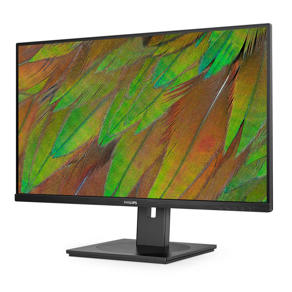 Philips 32B1N3800/00 Monitor PC 32 pollici