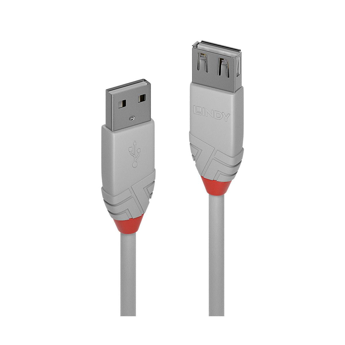 Lindy 36710 cavo USB USB 2.0 0,2 m USB A Grigio