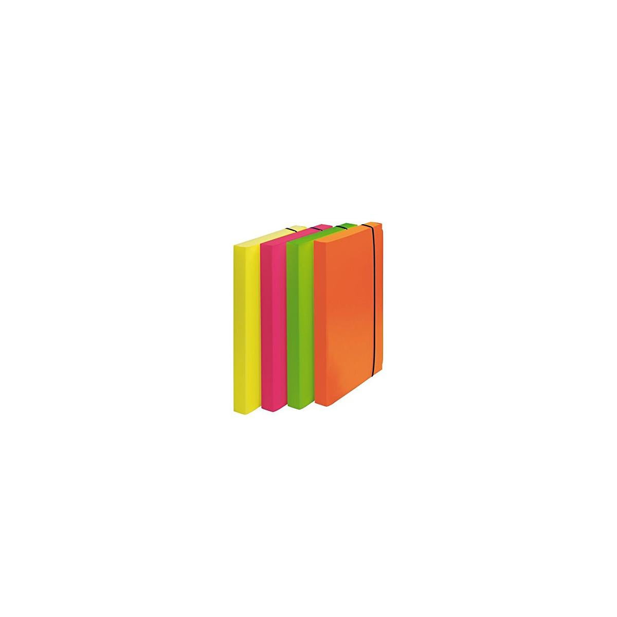 Fellowes 1028101 cartella Polipropilene (PP) Multicolore A4