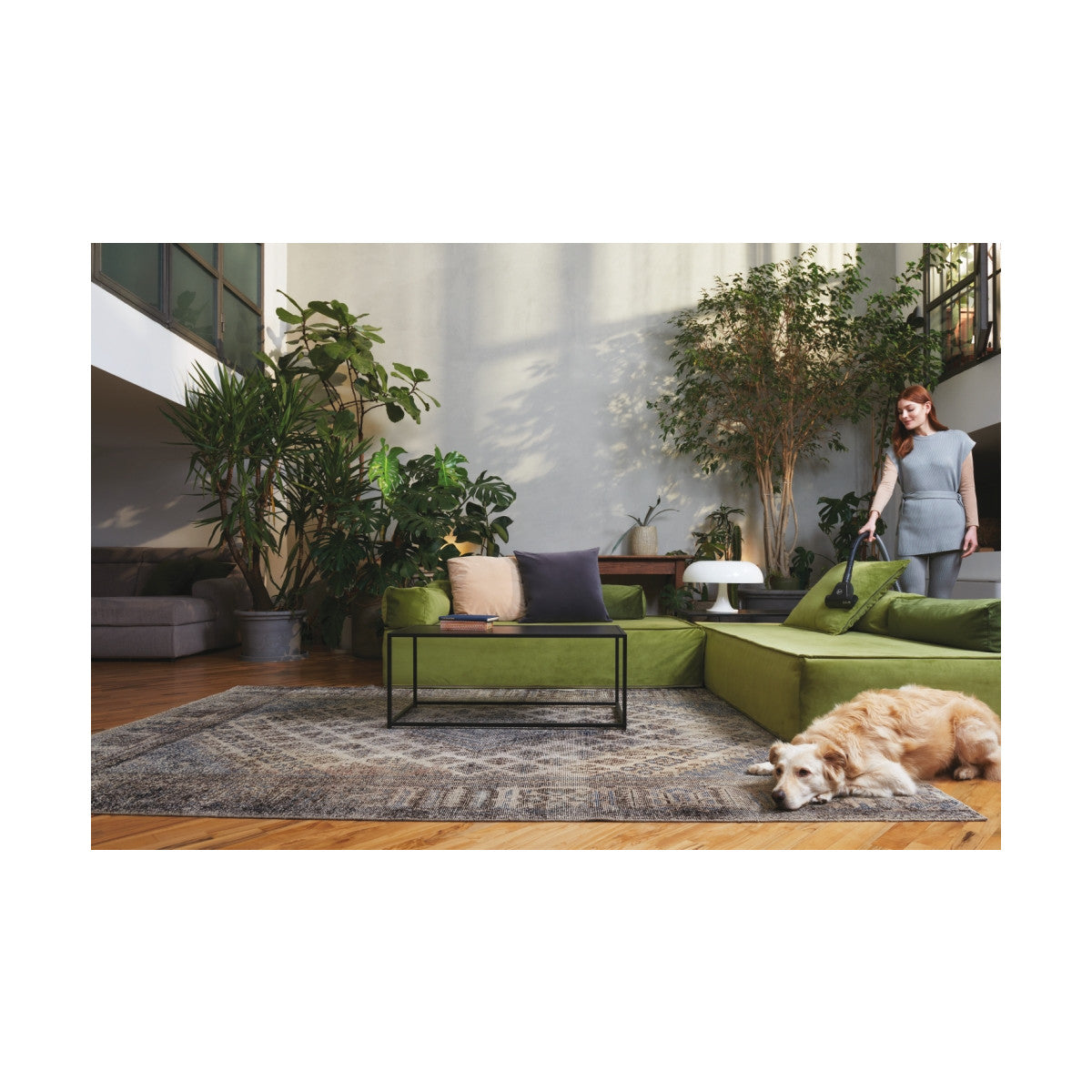 Hoover HE120PET 011 aspirapolvere 2,5 L A cilindro Secco 700 W Sacchetto per la polvere