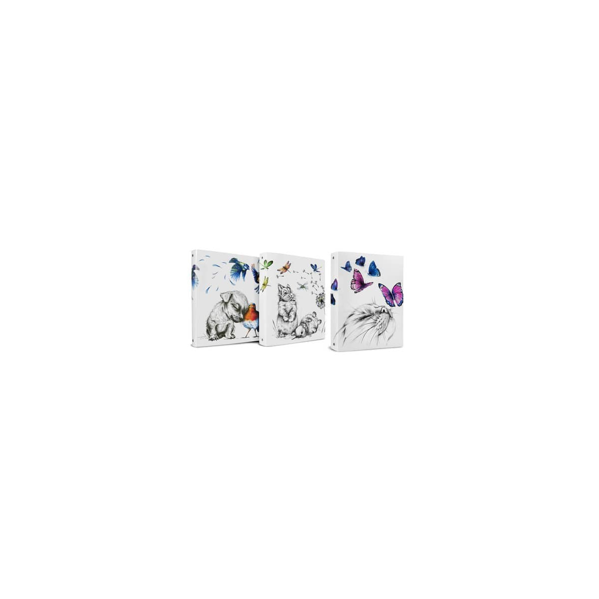 Plastibor Raccoglitore Ad Anelli Icon Friends A4 4 Anelli Tondi 25 Mm Pp Graficizzato 3 Soggetti Assortiti P3625190