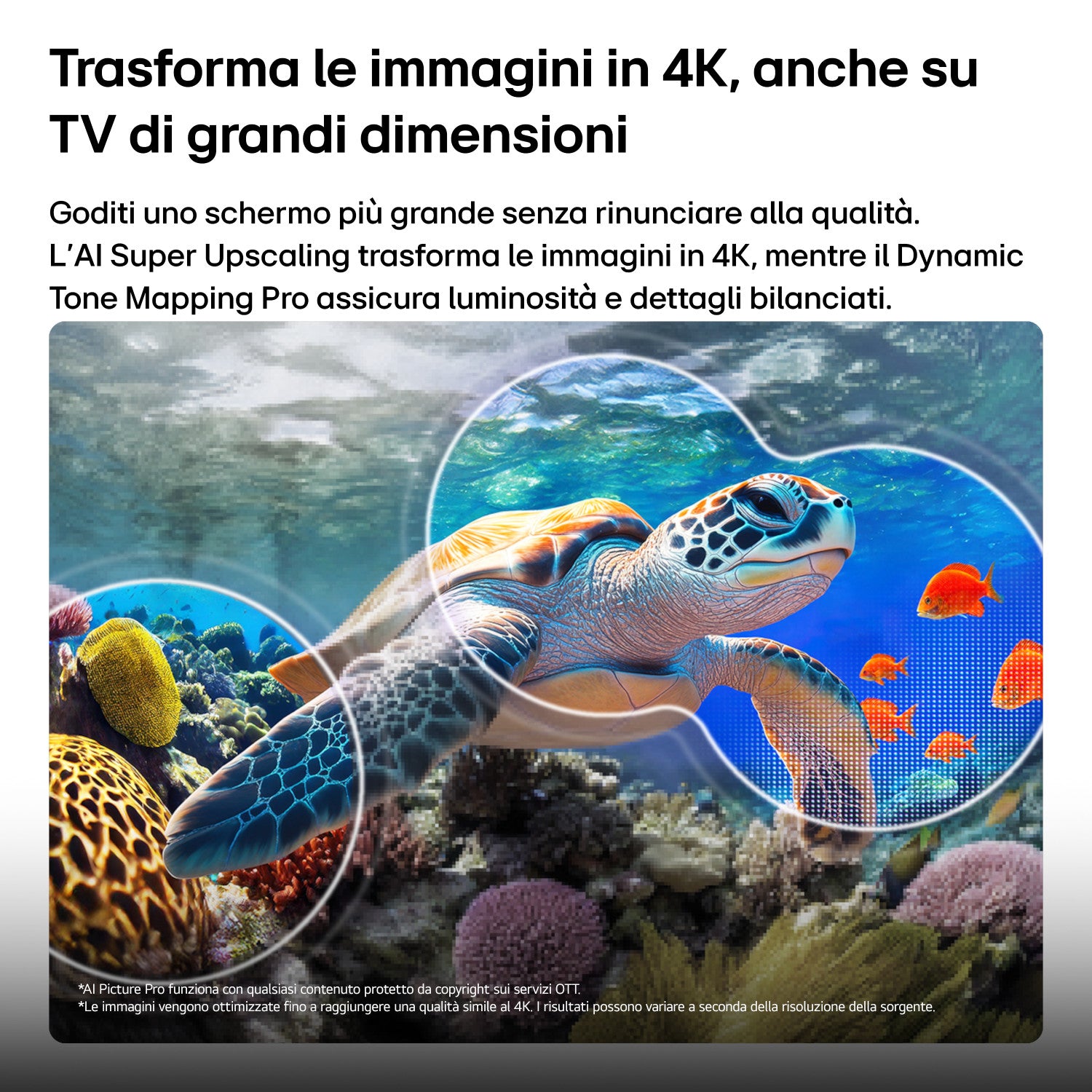 LG QNED evo AI MiniLED 100 pollici Serie QNED87B 100QNED87B6, 4K, Dolby Vision, Processore α8 Gen3, VRR 144Hz, SMART TV 2026