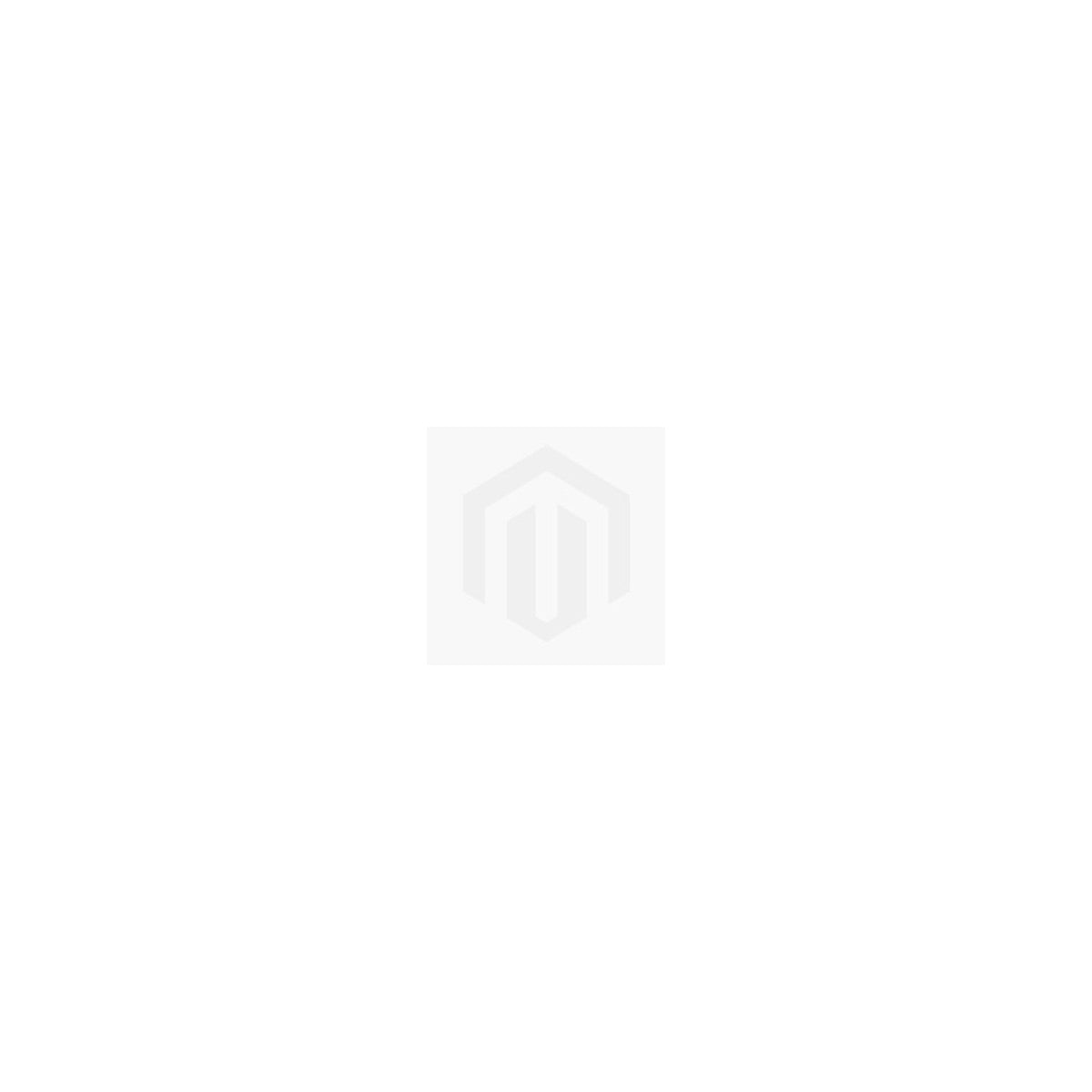 Polti WD10 Aspirapolvere a bastone 2 in 1 AC Secco e bagnato HEPA Senza sacchetto 750 W Nero, Bianco